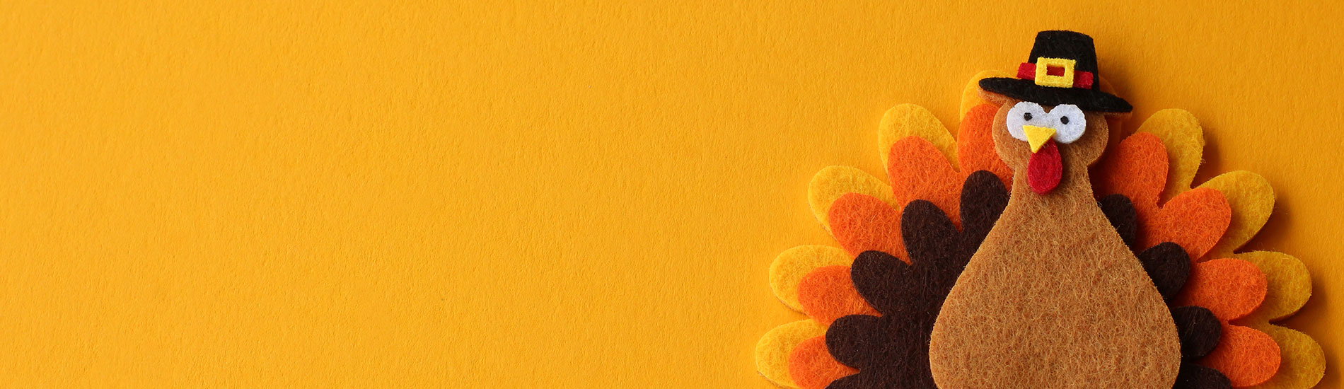 Thanksgiving Holiday Hours Banner