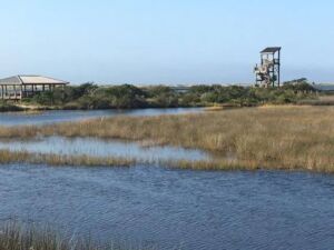 Pavilion and observation tower on boardwalk loop at east beach