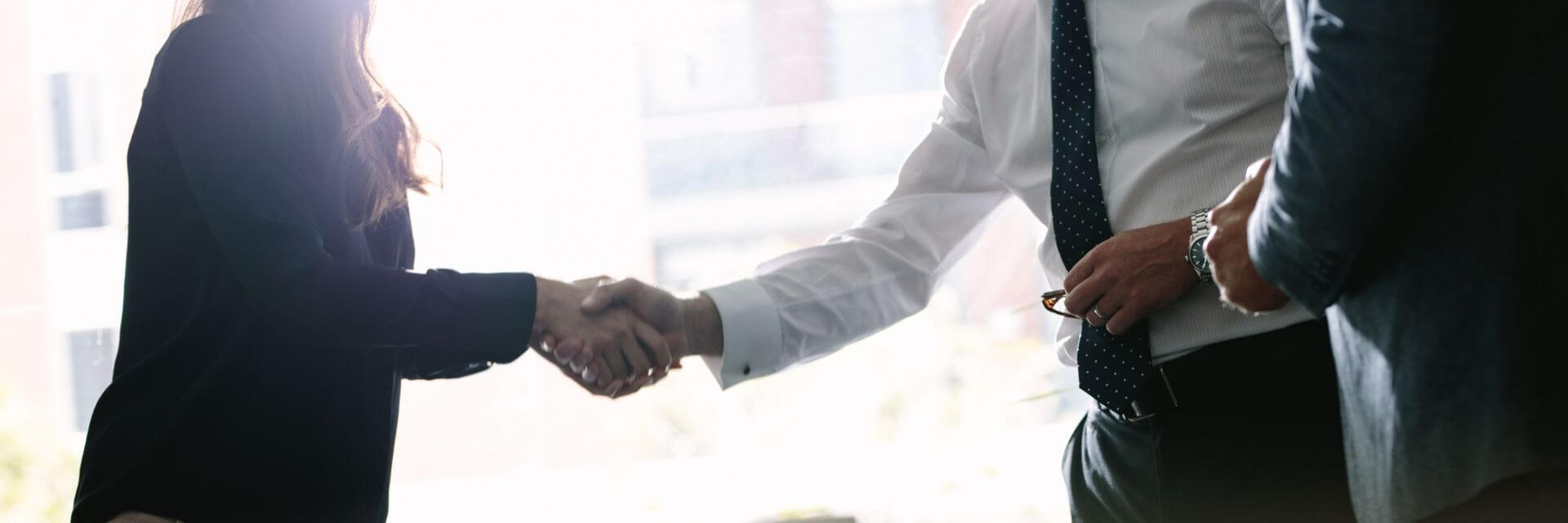 Two professionals shaking hands