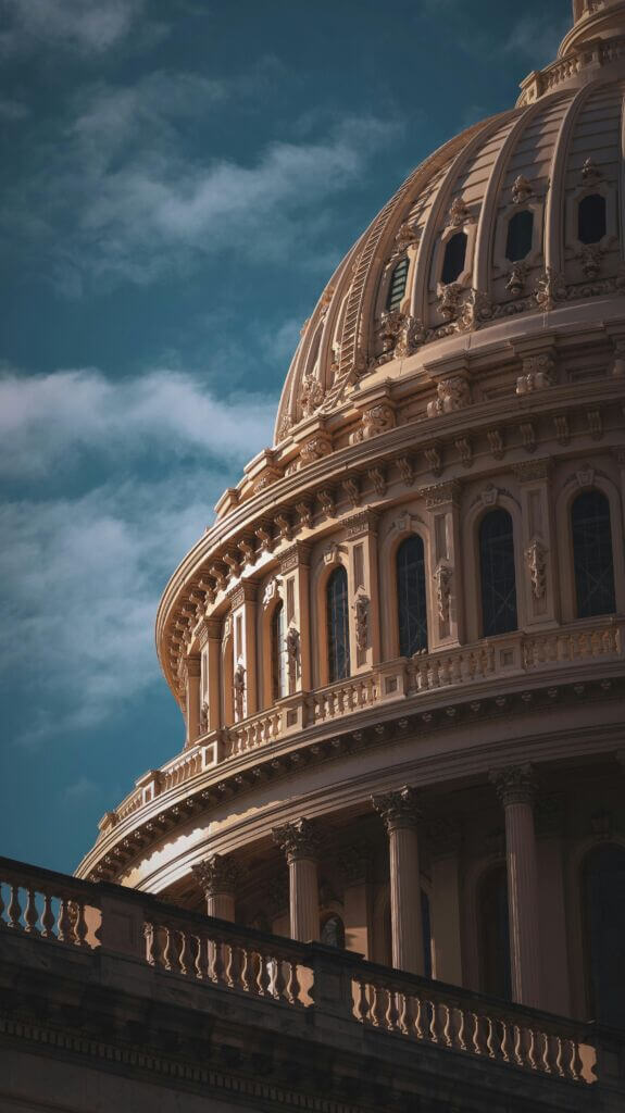 pexels-jimmyflowers10-31381705