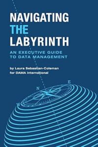 Navigating the Labyrinth book front cover