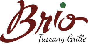 brio logo