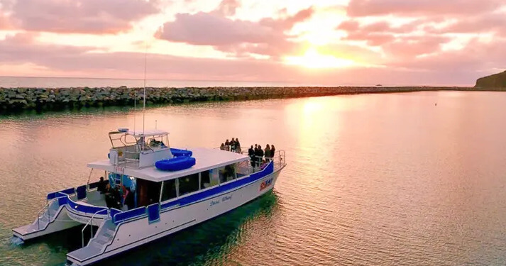 dana wharf sunset cruise