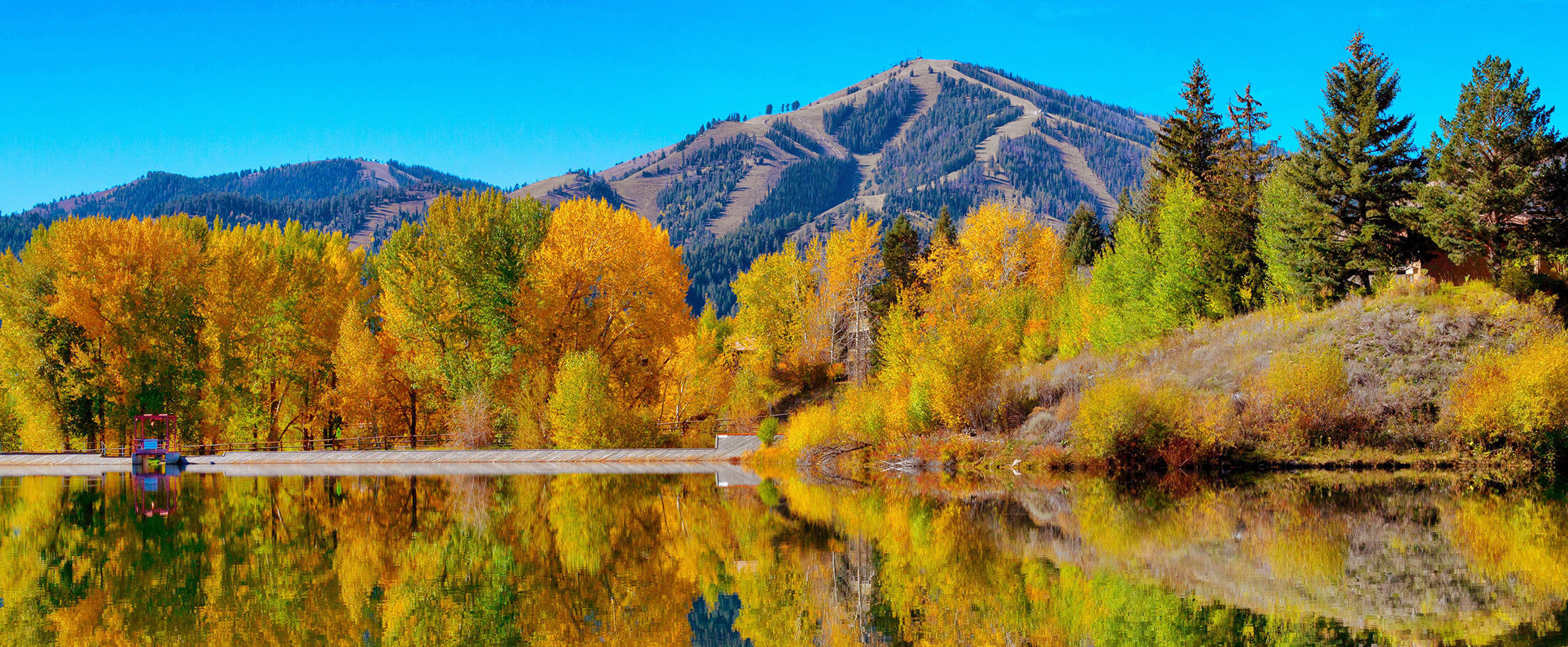 Fall-Baldy Fall-Baldy