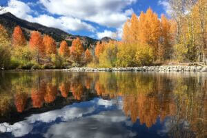 fall foliage and lake