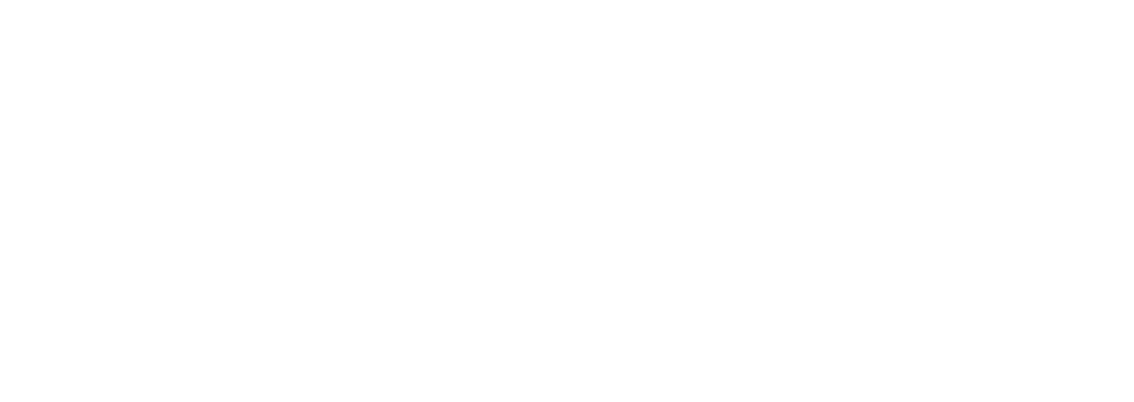Bloomington-Normal Young Professionals