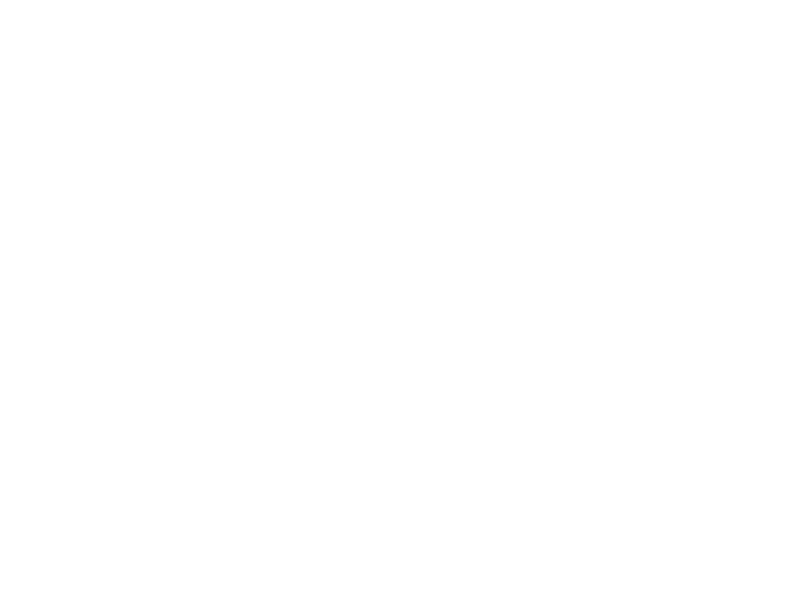 BOSS-White boss