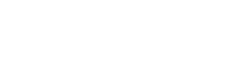 solopreneurs