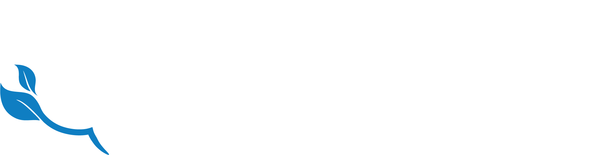 connect