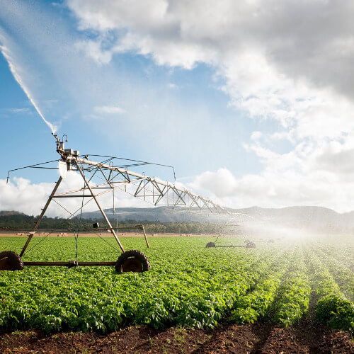 Agriculture