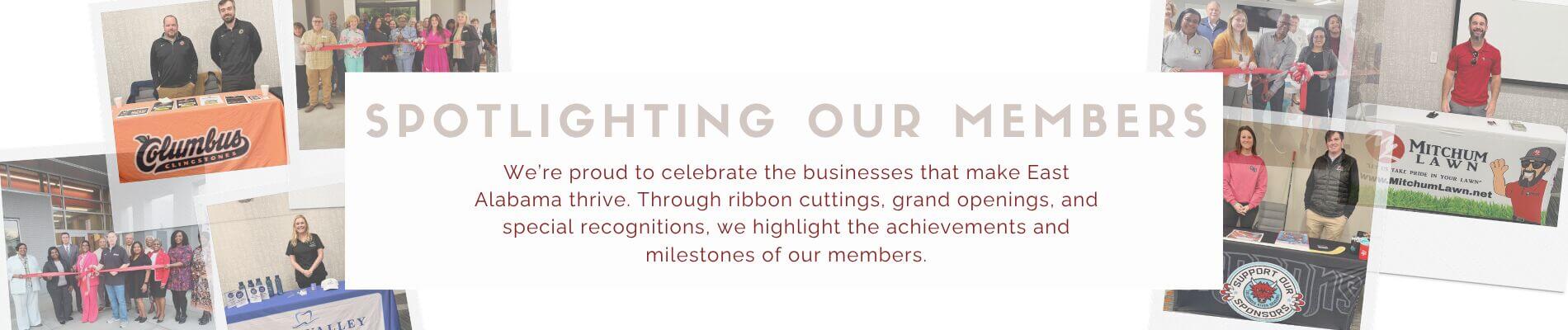 Spotlighting our members