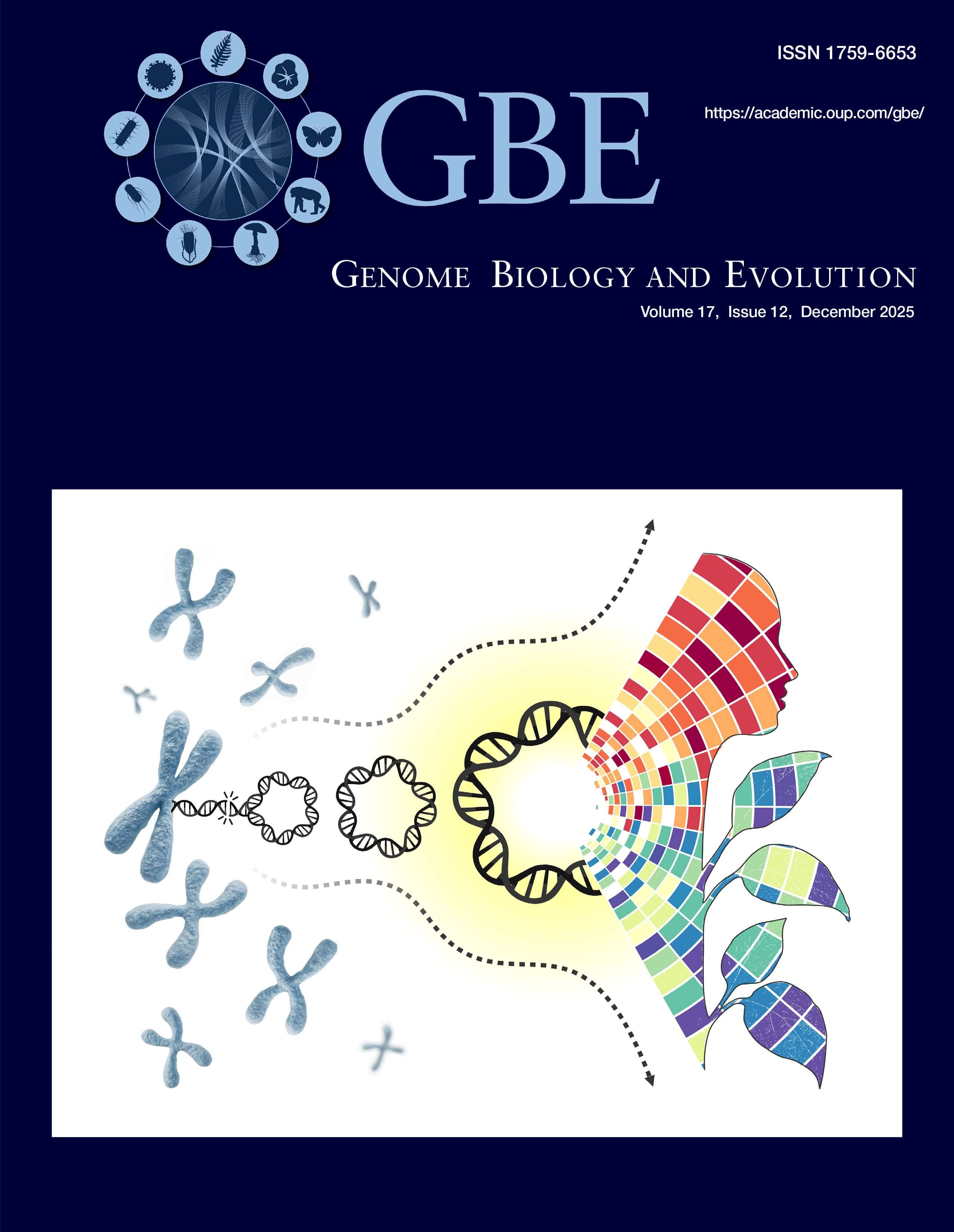 gbe-17-12cover gbe-17-12cover