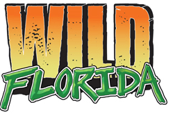Wild Florida 2
