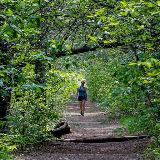 Barnegat walking trail