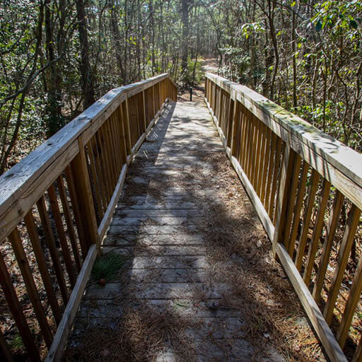 Barnegat wooden trail