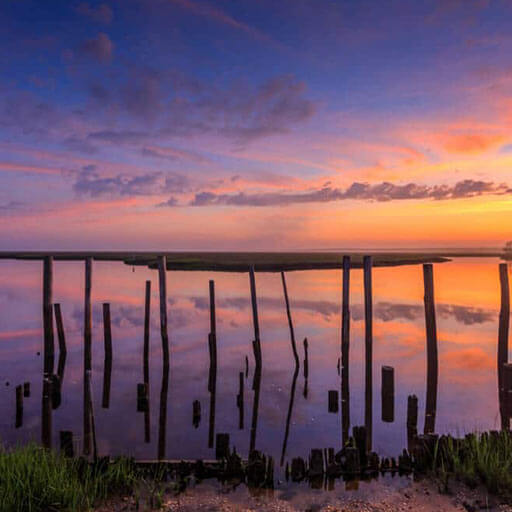 Stafford-lake-posts