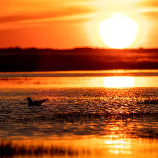 Tuckerton-sunset