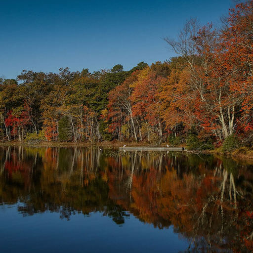 Waretown-lake