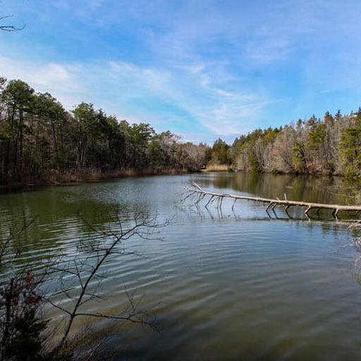 lacey lake