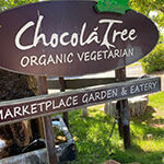 Chocolatree Logo