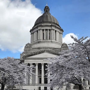 Untitled design - 2025-06-02T132322.858 capitol