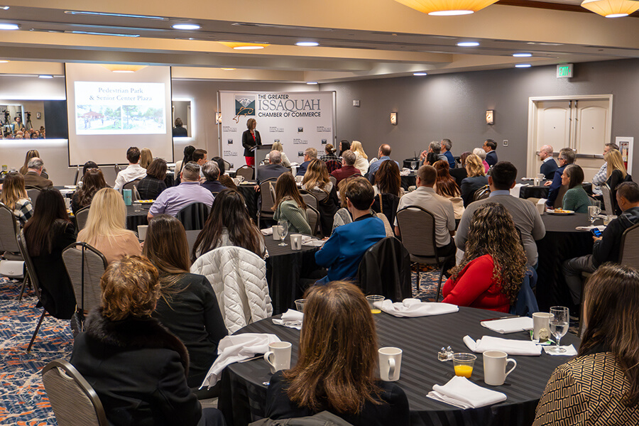 State of the city resize