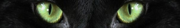Cat Eyes
