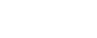 American Veterinary Medical Foundation
