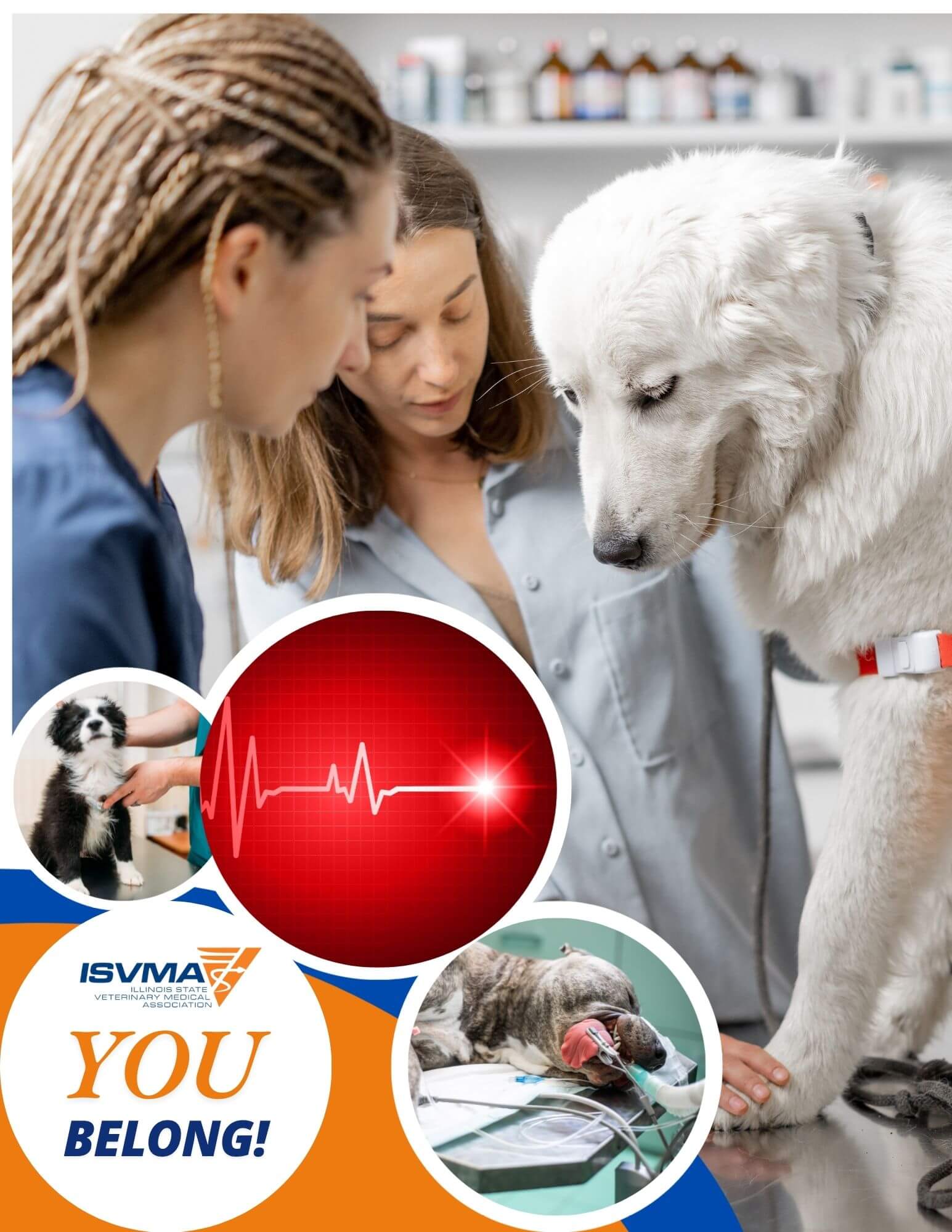 ISVMA Cardio Presentation Art 12.29.25 (1)