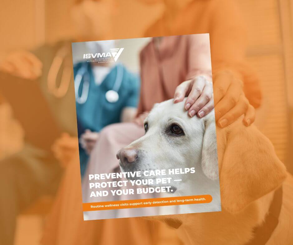 Cost of Care Posters