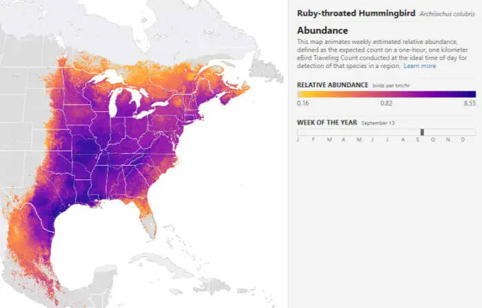 hummingbird migration map