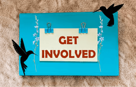 Get Involved