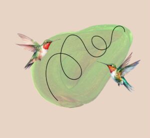 hummingbird graphic