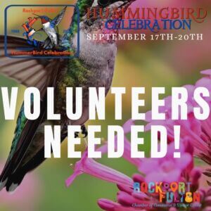 HummerBird Festival Flyers (3 x 3 in) (1)