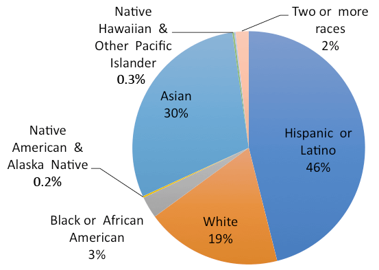 Ethnicity-sgv-partnership-graphic ethnic demographic data pie chart