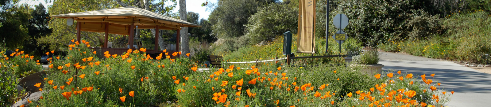 Gardens Gardens