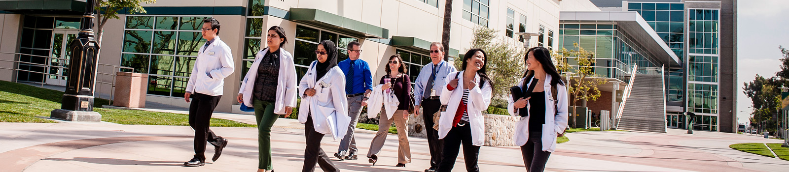 Who We Are Medical students walking in a group on a sunny day
