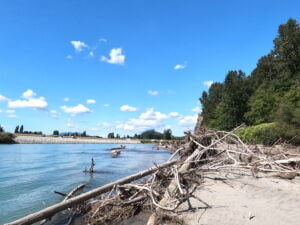 Scenic view of the Skagit River in Burlington, Washington, showcasing the natural beauty and outdoor recreation opportunities of Skagit Valley.