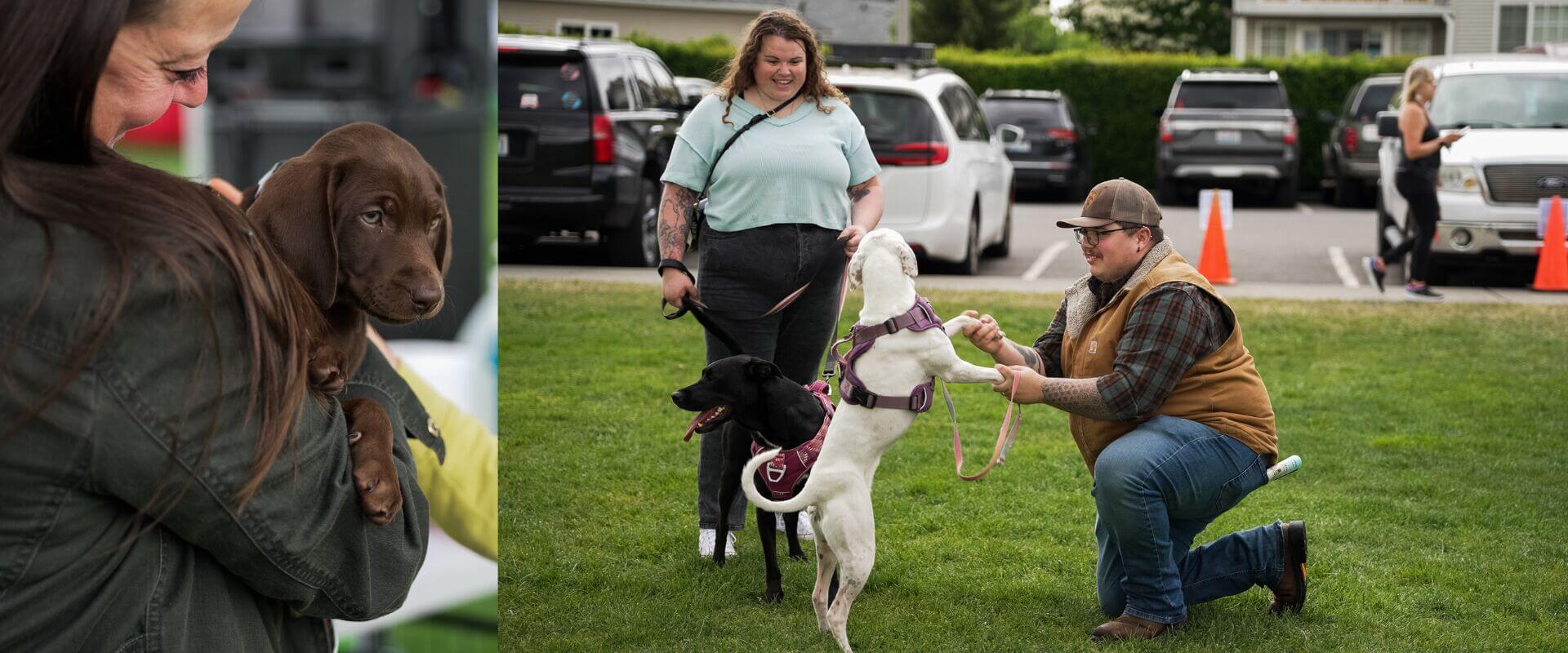 Pet Day at the Park at Berry Dairy Days in Burlington WA with families and adoptable dogs at Skagit River Park