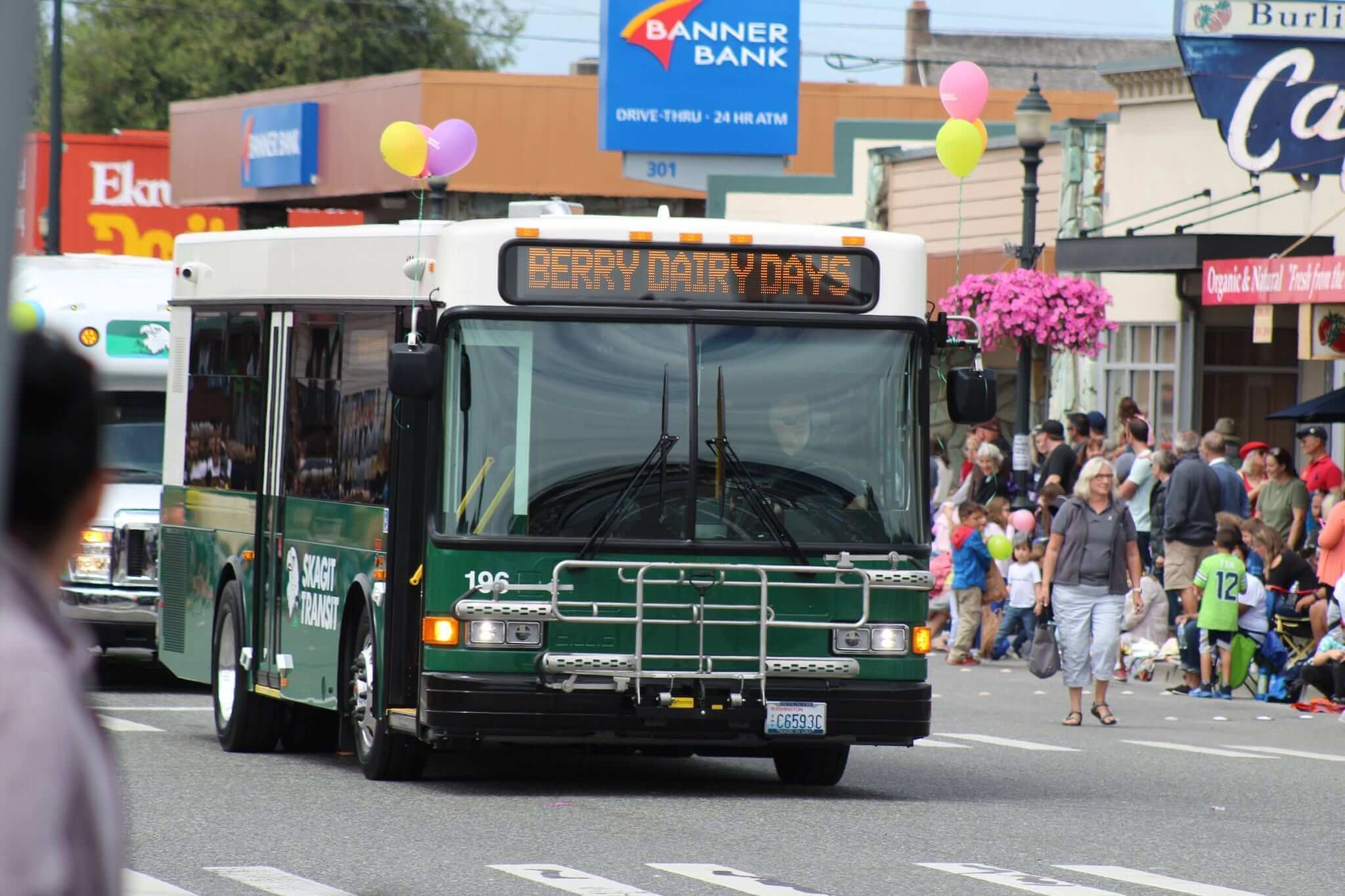 Skagit Transit bus displaying Berry Dairy Days on its digital sign while providing free shuttle service for the Berry Dairy Days Grand Parade in Downtown Burlington, Washington.
