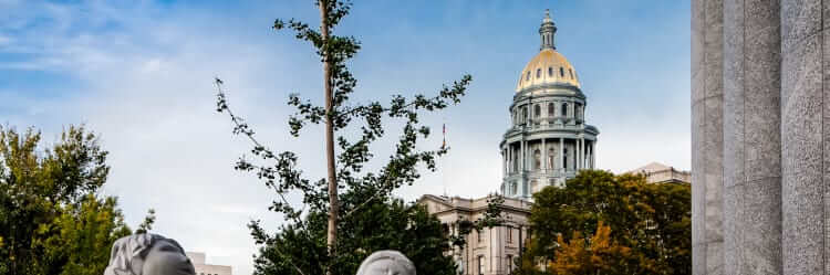 Advocacy-Report-State-Capitol Advocacy-Report-State-Capitol