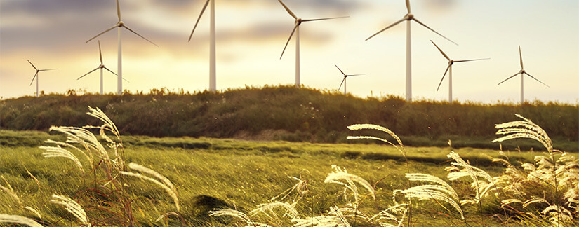wind turbine