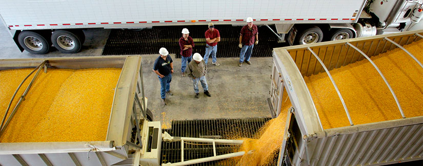 construction workers