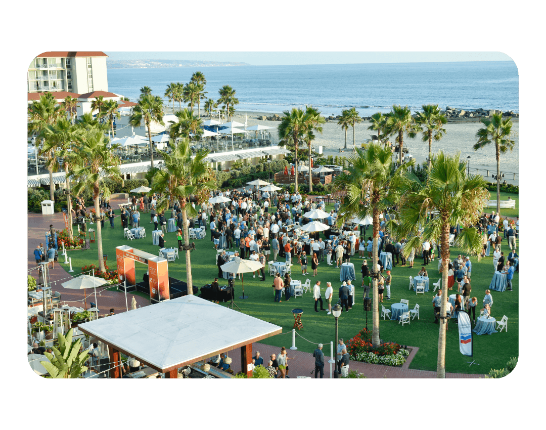 large crowd of people gather on a lawn surrounded by palm trees with the beach in the background