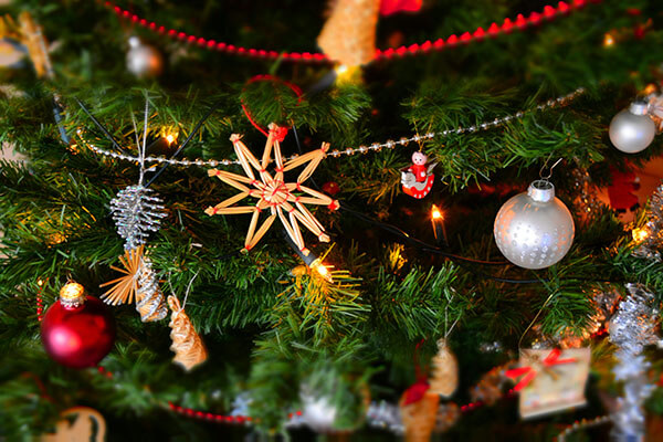 christmas-tree-600x400 christmas tree