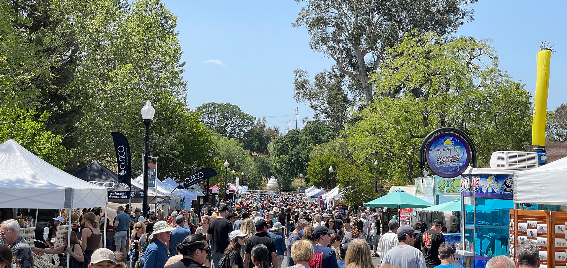 CBCA Clayton Art Wine Festival