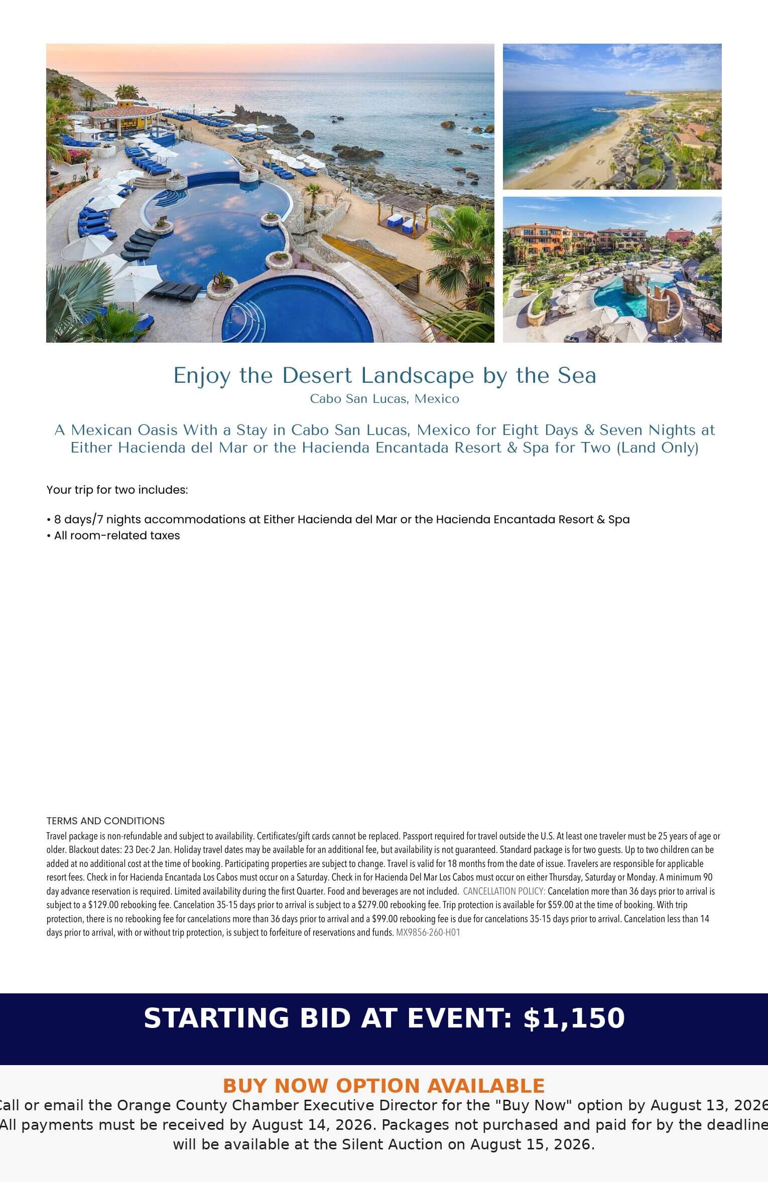 Landscape_by_the_Sea_Auction_Flyer_1150