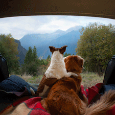 camping