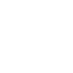 Shopping Icon
