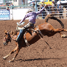 festivals-events-817e8635-6e9b-42a5-89dc-032921d62513 rodeo
